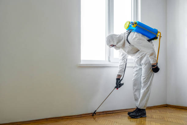 Best Flea Control Services  in Fort Myers Beach, FL